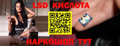 индика Партизанск