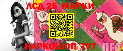 индика Партизанск