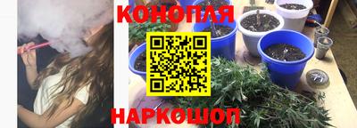 индика Партизанск